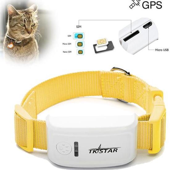 collier GPS chat